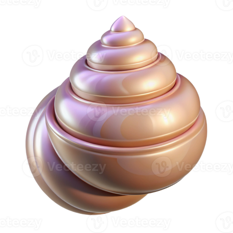 elegant minimalist A single, polished seashell, spiral-shaped detailed png