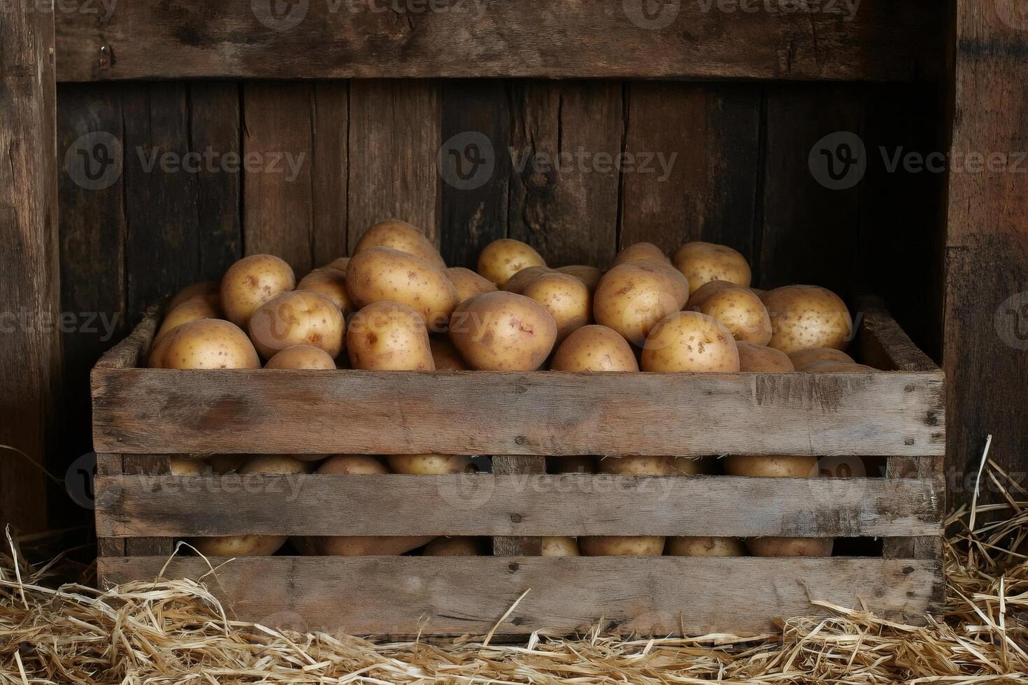 Fresh Potatoes Resting in Wooden Crate on Straw in Rustic Barn photo