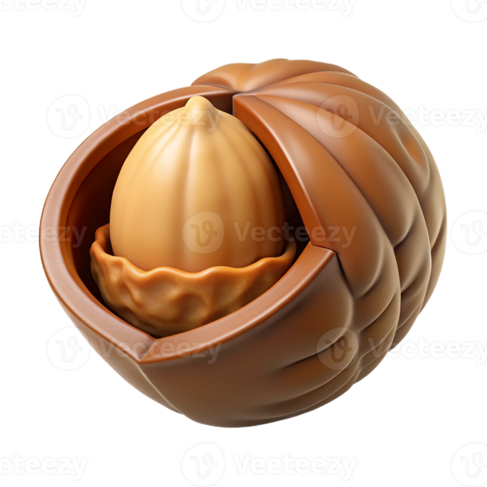 elegant minimalist Open walnut shell with nut inside premium png
