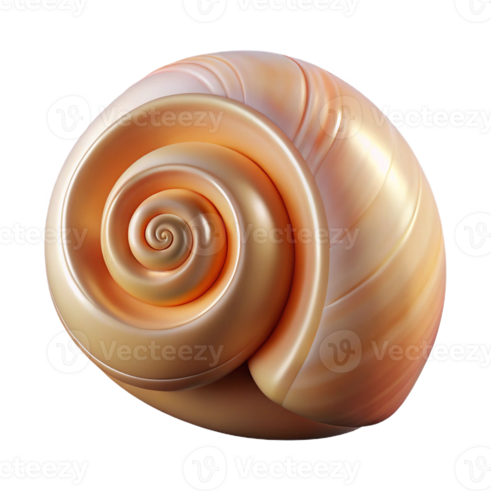serene traditional A single, polished seashell, spiral-shaped genuine png