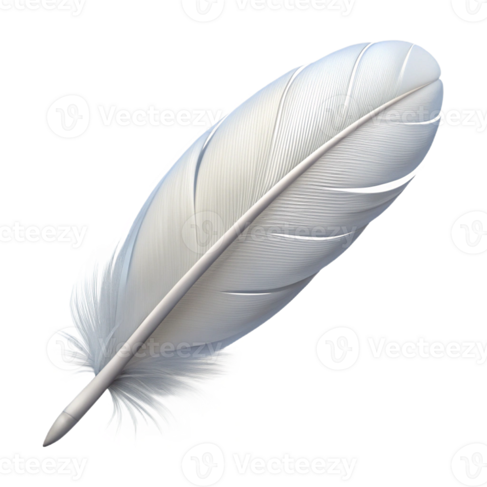 dramatic classic A single, white feather, light and fluffy detailed png