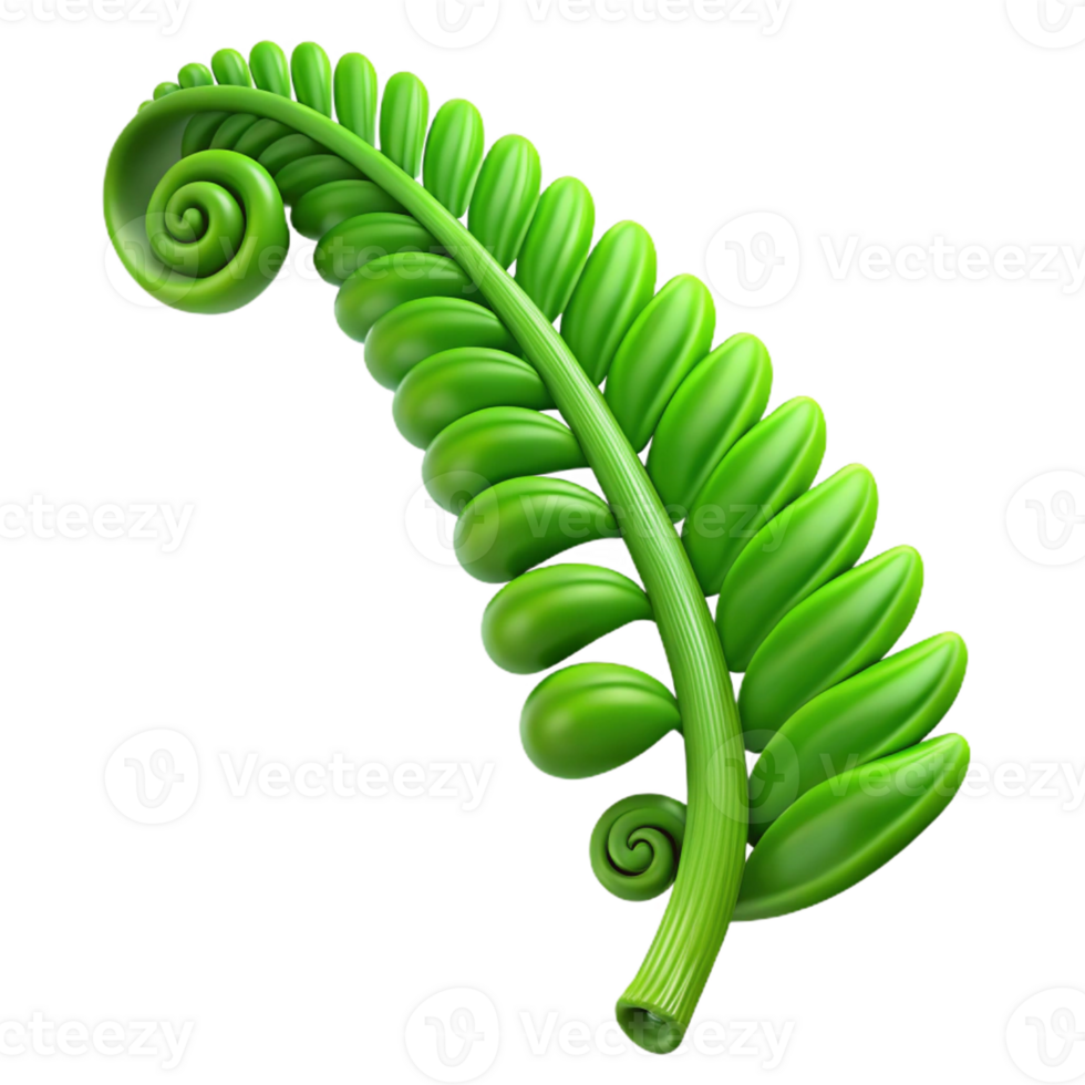 extraordinary artistic Single green fern frond unfurling premium png