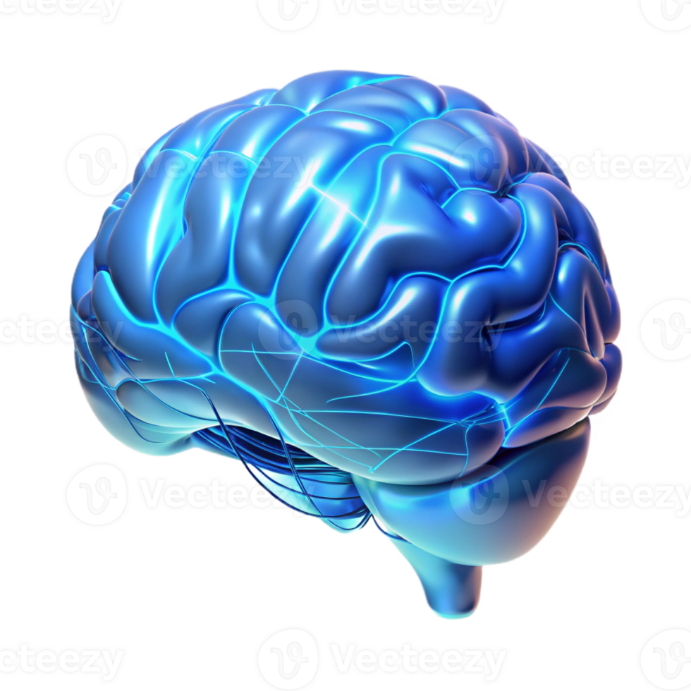 wonderful minimalist A holographic projection of a human brain, intricately detailed with neural pathways illuminated by pulsating blue light, rendered in a hyperrealistic style high quality png