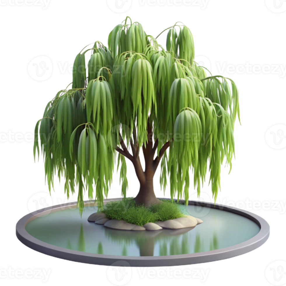serene classic A branch of a weeping willow tree, gracefully draped over a pond, soft, diffused light, impressionistic style original png