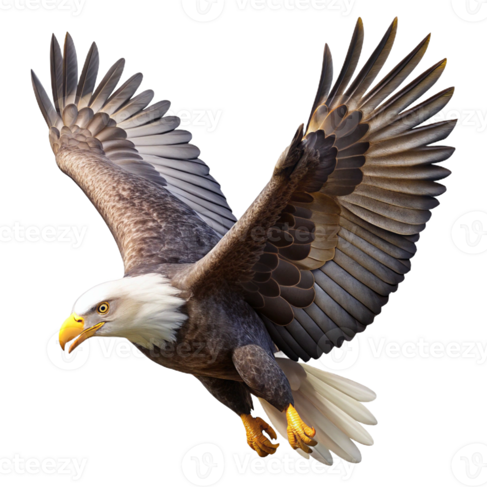 beautiful vintage A majestic bald eagle soaring through a clear blue sky, sunlight glinting off its white head and feathers, rendered in a photorealistic style premium png