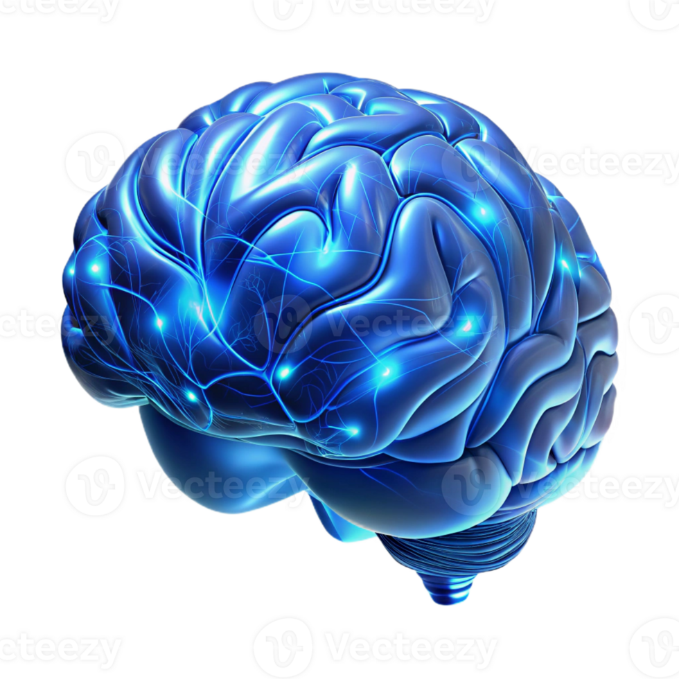 serene artistic A holographic projection of a human brain, intricately detailed with neural pathways illuminated by pulsating blue light, rendered in a hyperrealistic style authentic png