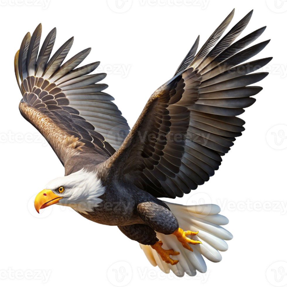 serene abstract A majestic bald eagle soaring through a clear blue sky, sunlight glinting off its white head and feathers, rendered in a photorealistic style premium png