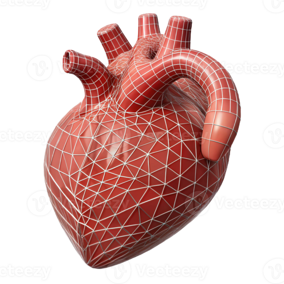 extraordinary traditional A human heart, anatomical, wireframe, abstract sculpture premium png