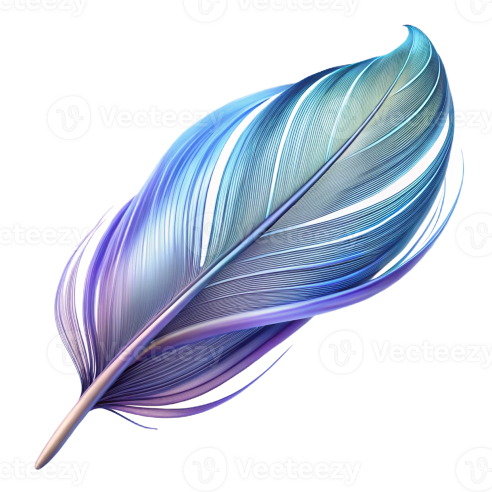 stunning traditional A feather, delicate, flowing lines, abstract lightness original png