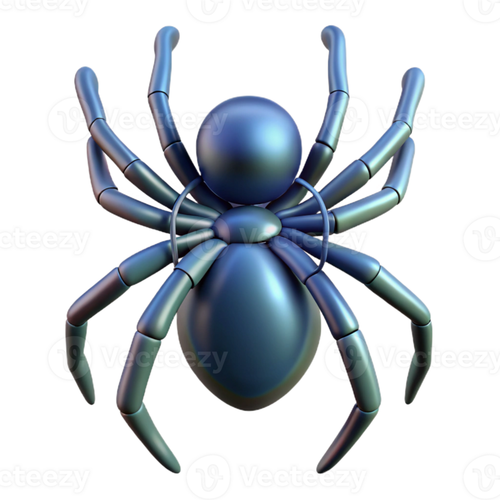 serene traditional A single, stylized spider, intricate web design on its back genuine png