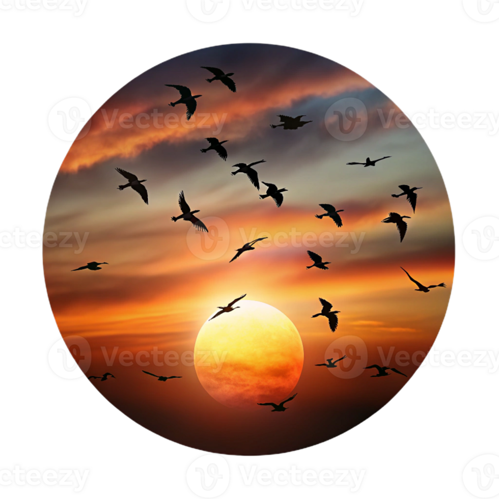 extraordinary contemporary A flock of migrating birds silhouetted against a fiery sunset sky, in a dramatic, cinematic style exclusive png