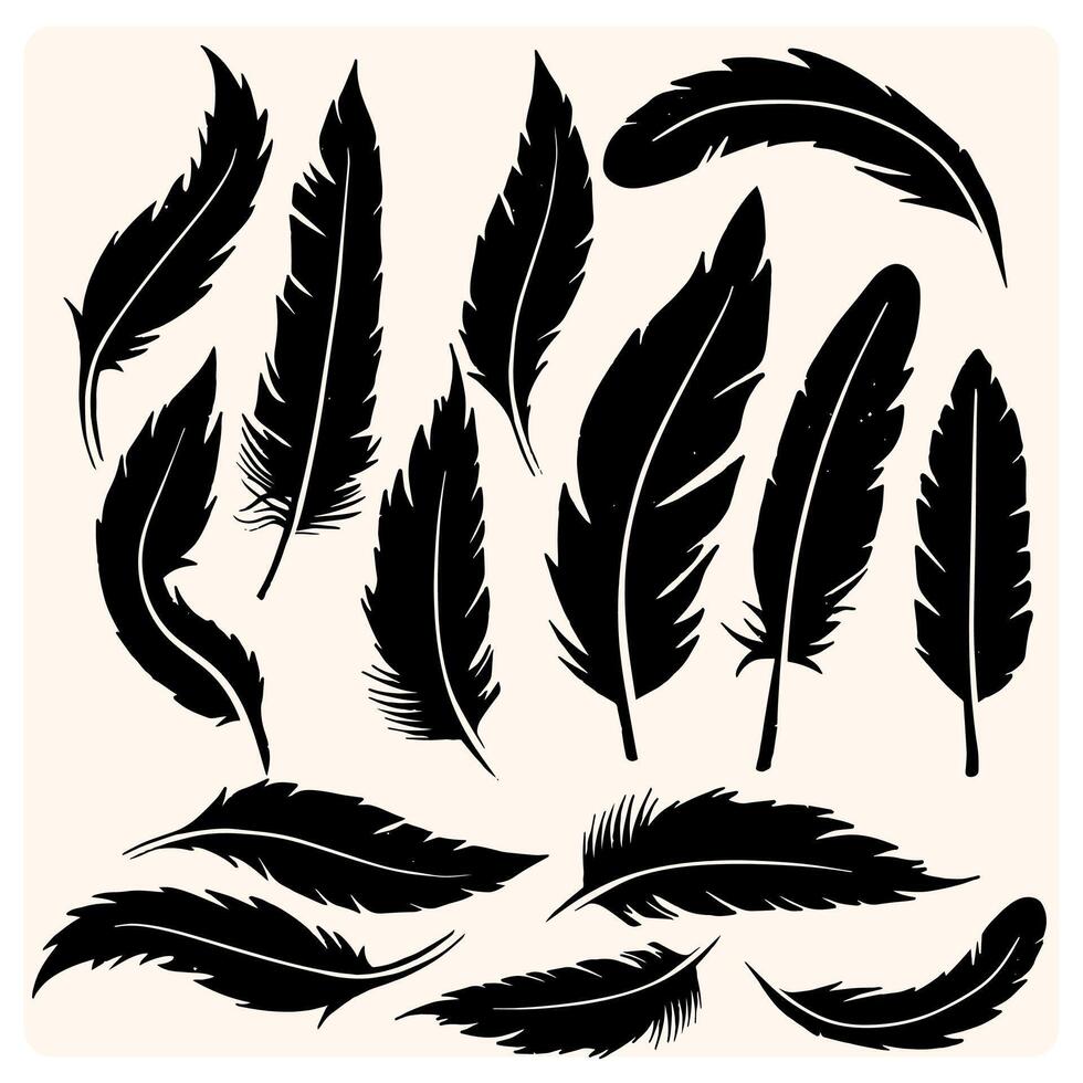 Hand drawn bird feathers, black silhouettes closeup isolated on white background set. vector