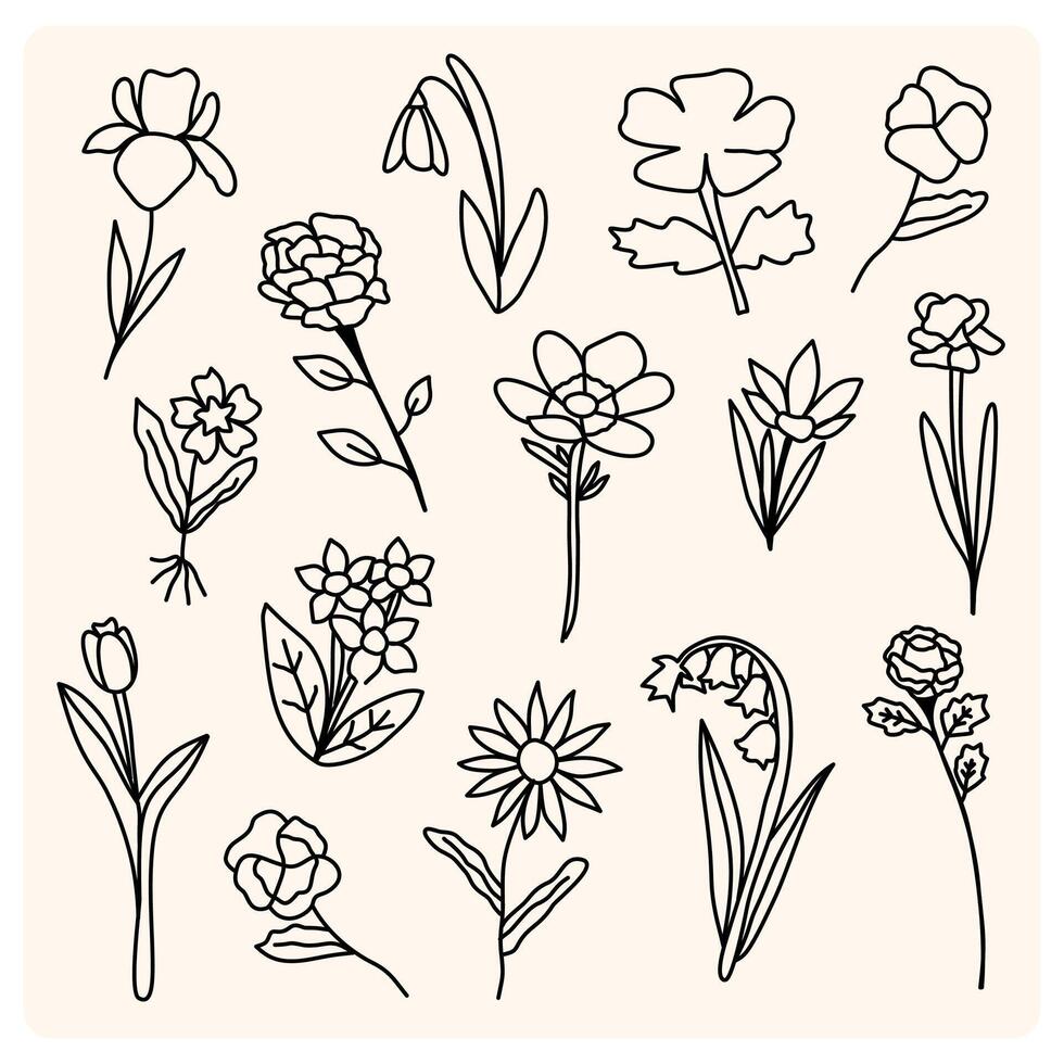 One Line Flower Drawing Botany art. Continuous line drawing hand drawn abstract flower, Floral set, illustration, design vector