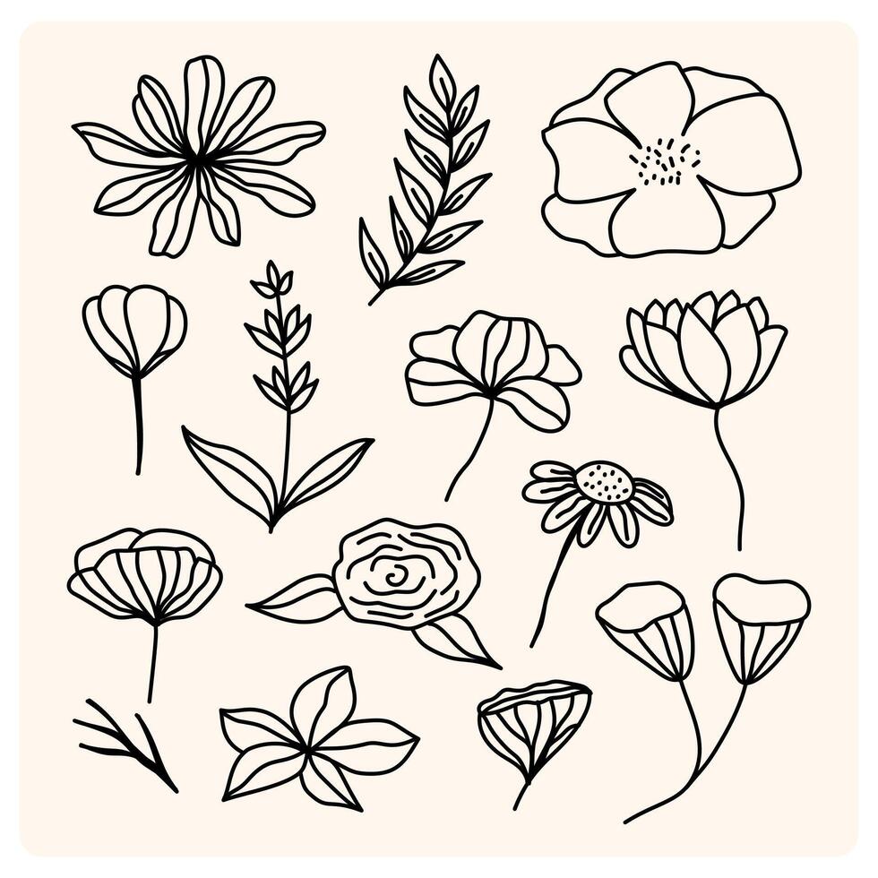 Floral ornaments doodle set. Hand drawn tree branches vector