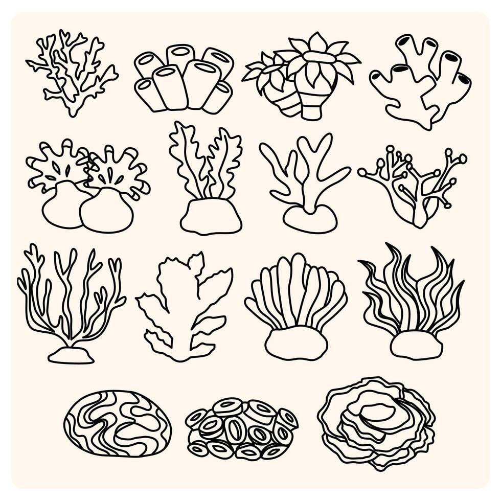 Hand drawn corals isolated on cream. Sketch drawing with doodle style vector