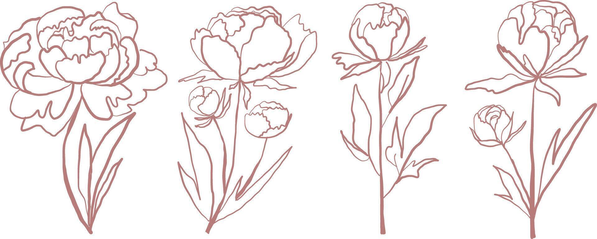 This vintage floral illustration set features handdrawn peonies in a retro botanical style. The delicate line art with pastel hues and muted tones creates a nostalgic, aesthetic, and timeless look, perfect for art prints, branding vector