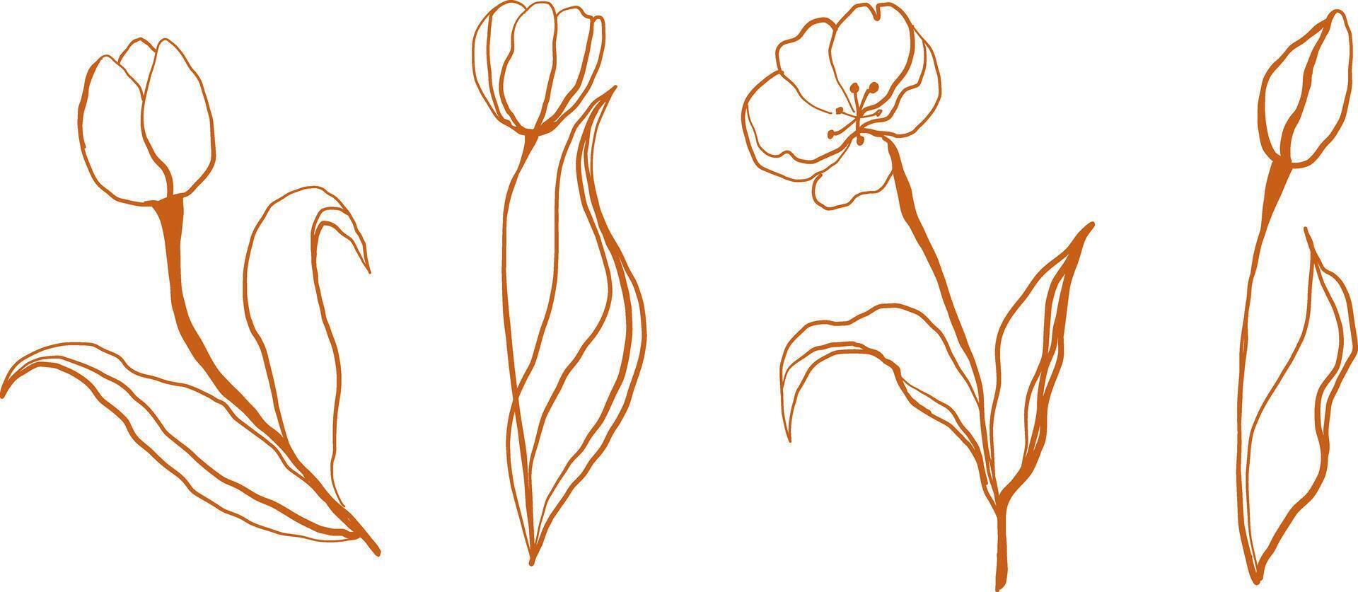 This vintage floral illustration set features handdrawn tulips in a retro botanical style. The delicate line art with pastel hues and muted tones creates a nostalgic, aesthetic, and timeless look, perfect for art prints, branding vector