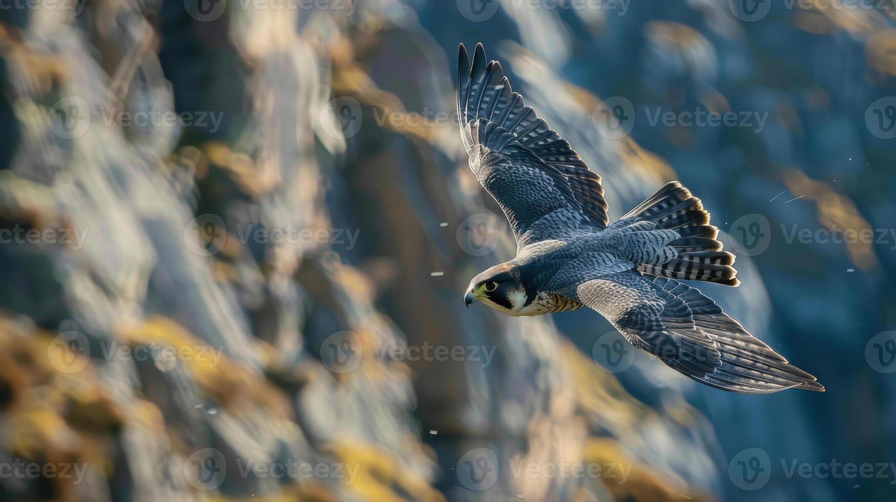 Peregrine Falcon in Flight Over Majestic Mountain Landscape - Nature Photography for Posters and Prints photo