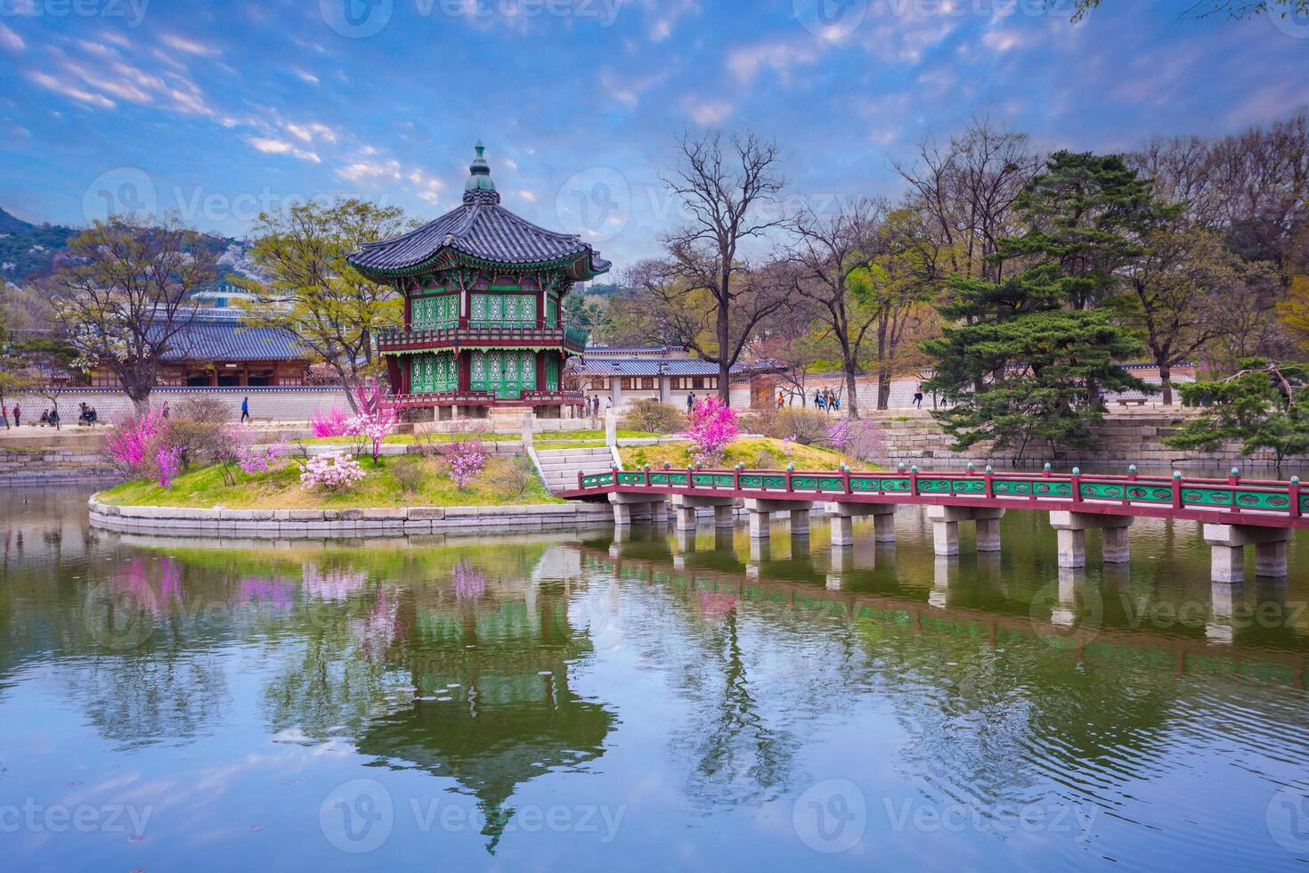 Gyeongbokgung palace with cherry blossom tree in spring in Seoul, South Korea. photo