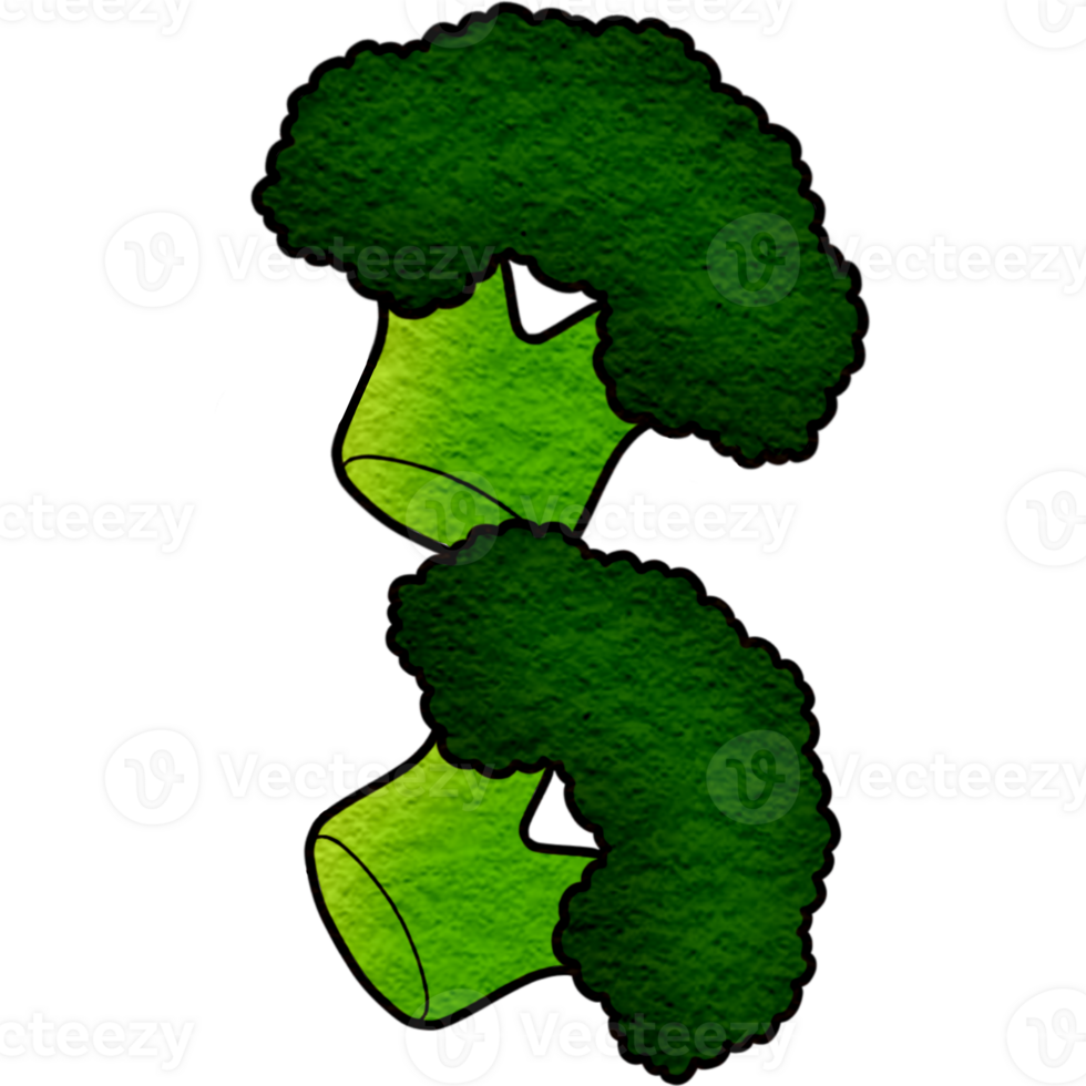 two broccoli heads on a transparent background png