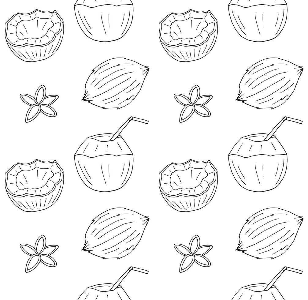 Seamless pattern of hand drawn doodle sketch different coconuts isolated on white background vector