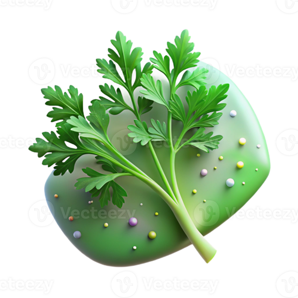 magnificent rustic Parsley Green Sprig Texture Garnish Herb Isolated high resolution png