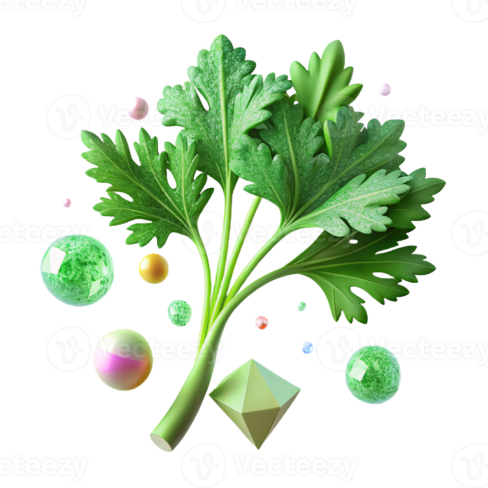 magnificent classic Parsley Green Sprig Texture Garnish Herb Isolated original png