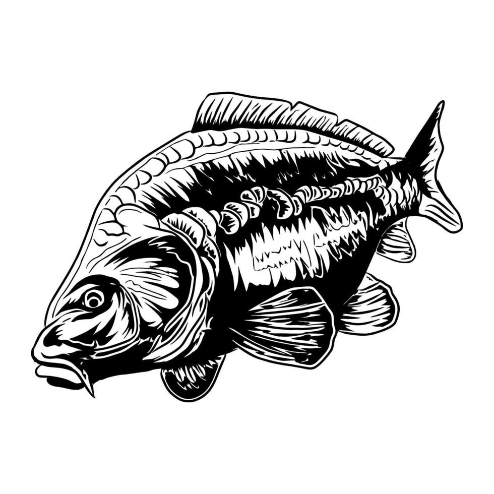 carp fish looking down black and white fishing illustration logo image t shirt vector