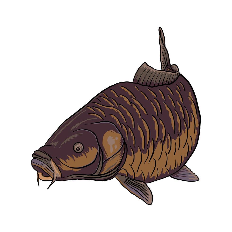 carp fish is snaking full color fishing illustration logo image t shirt vector