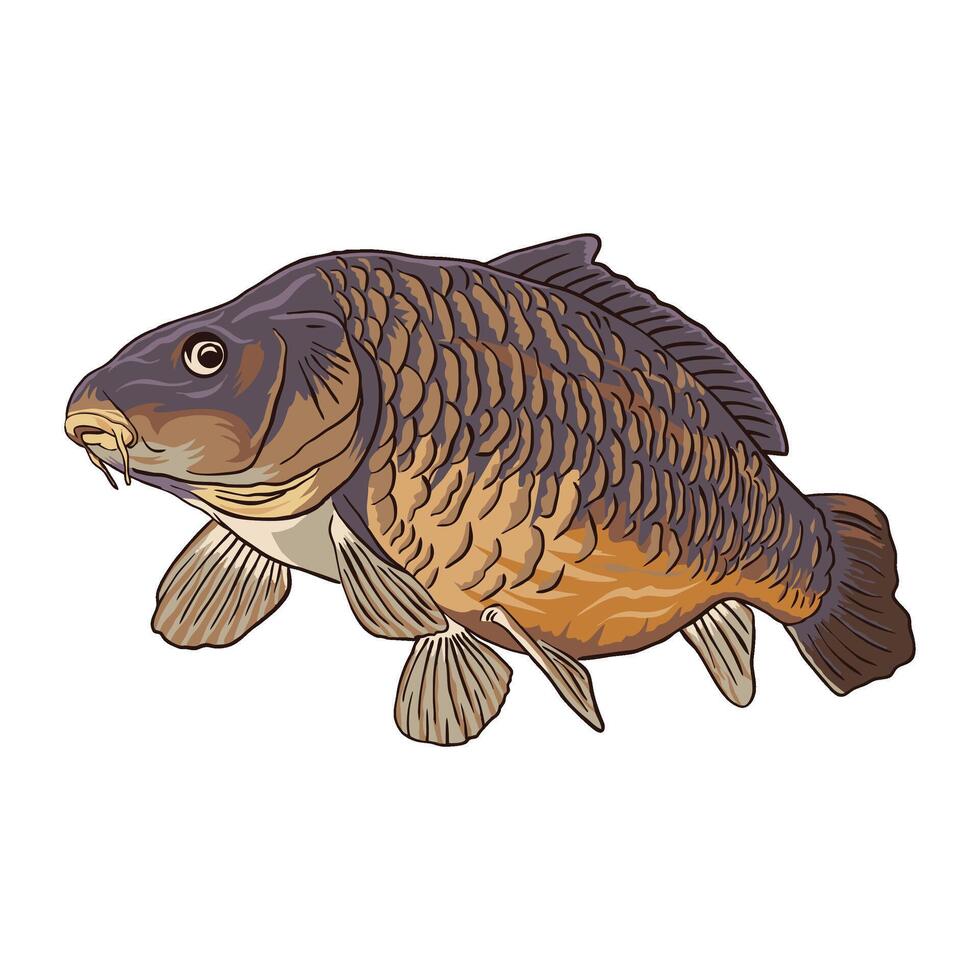 carp fish under water full color fishing illustration logo image t shirt vector