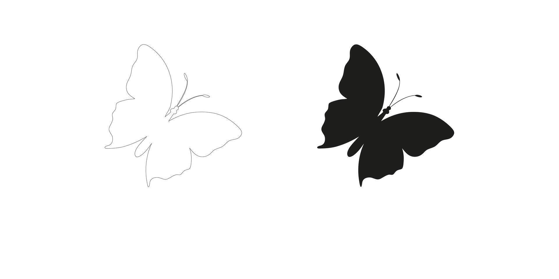 Black and White Butterfly Illustrations Side by Side vector
