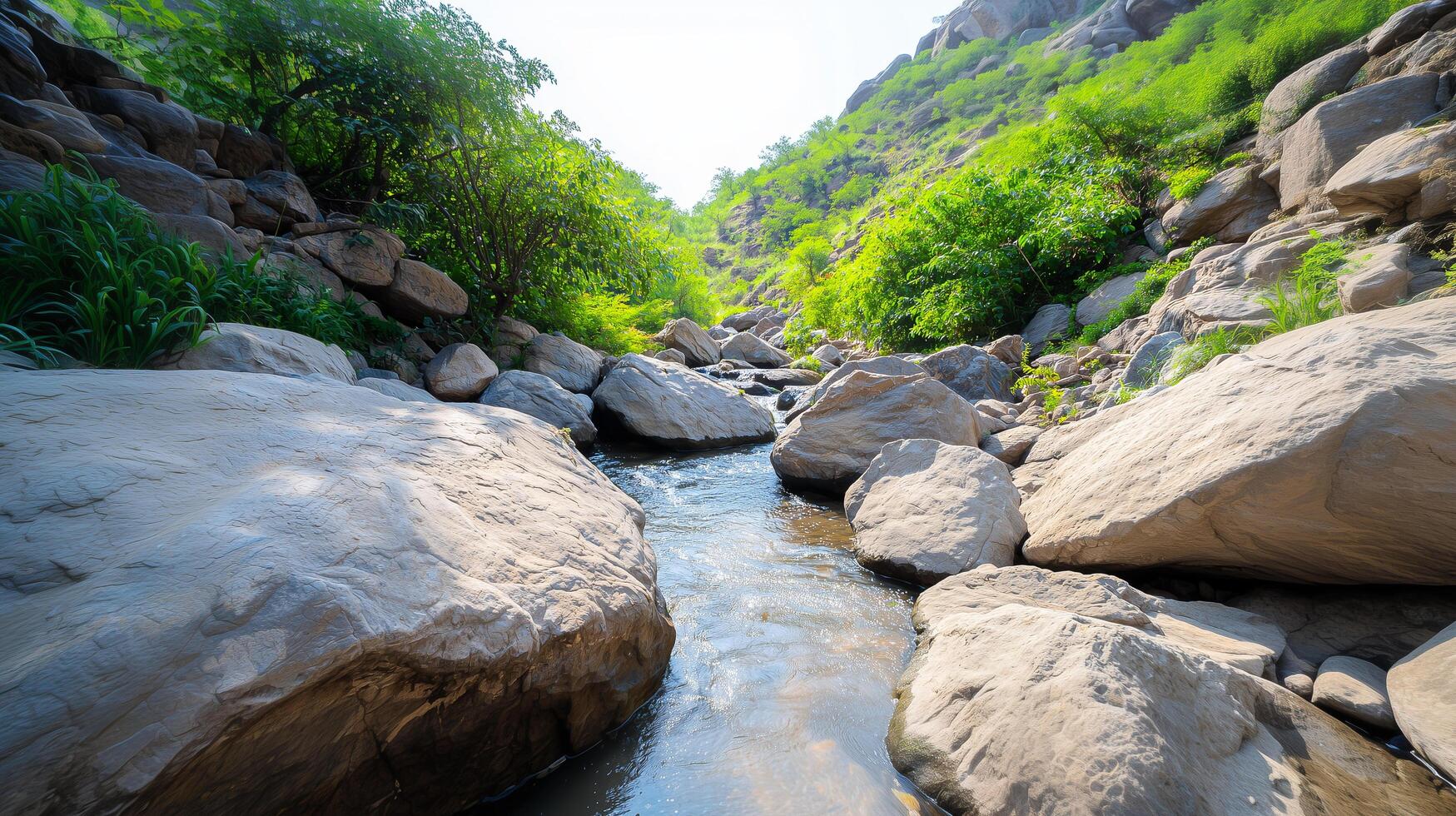 Rocky River with Large Boulders and Lush Green Vegetation photo