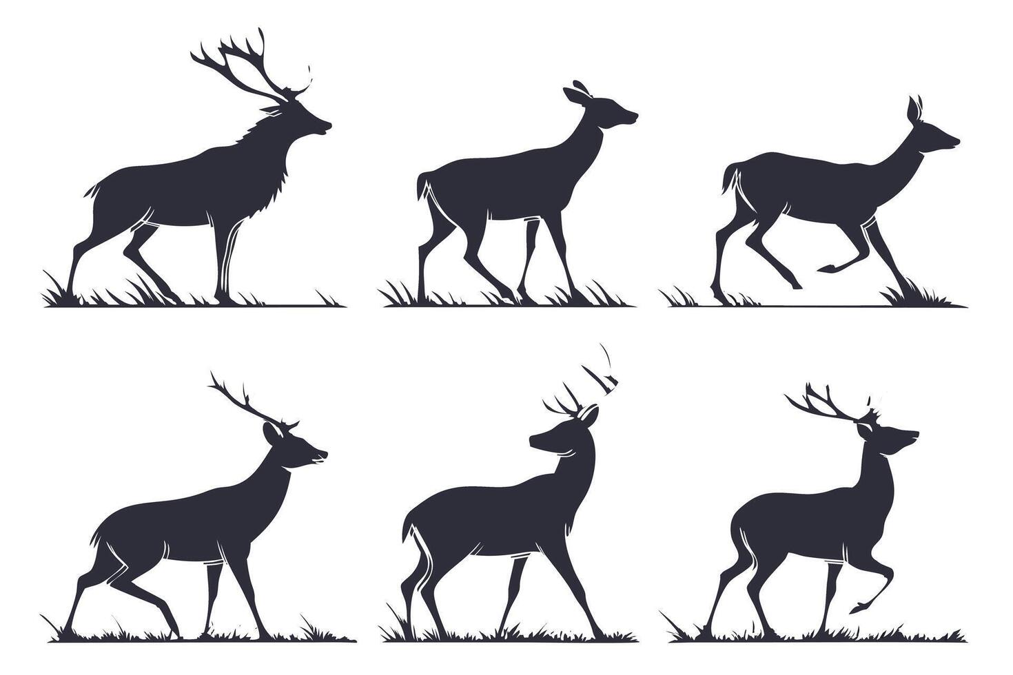 Silhouettes of Deer in Various Poses vector