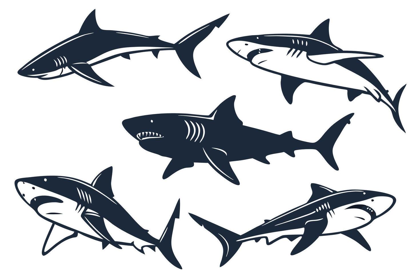 Shark Silhouettes Set Against a White Background vector