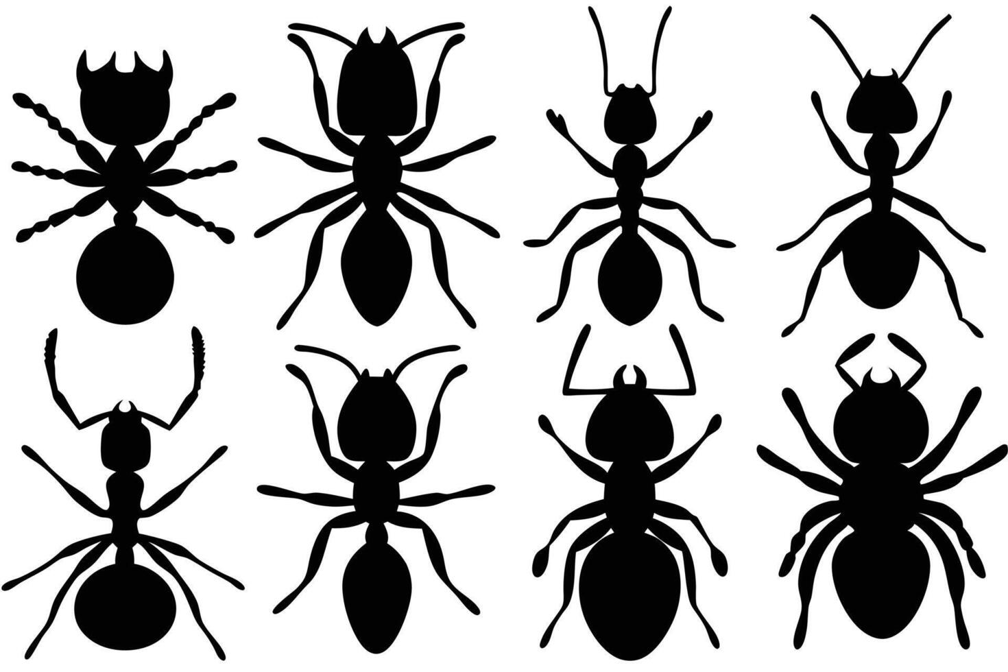 Different Ant Silhouettes for Educational vector
