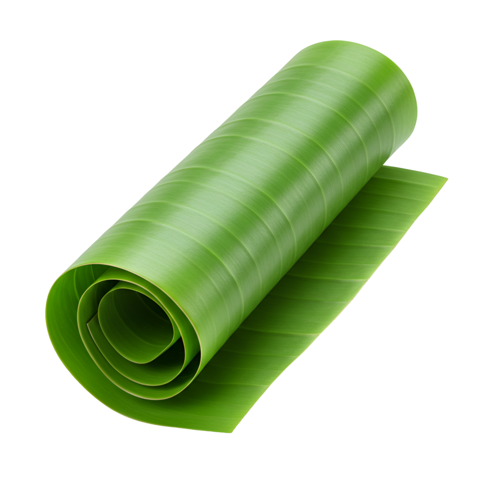 Rolled bright green banana leaf showing its texture and pattern on a plain, solid color space transparent background png