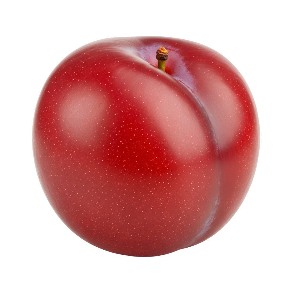 Close up studio shot of a single ripe plum with a stem on a plain color isolated setting view transparent background png
