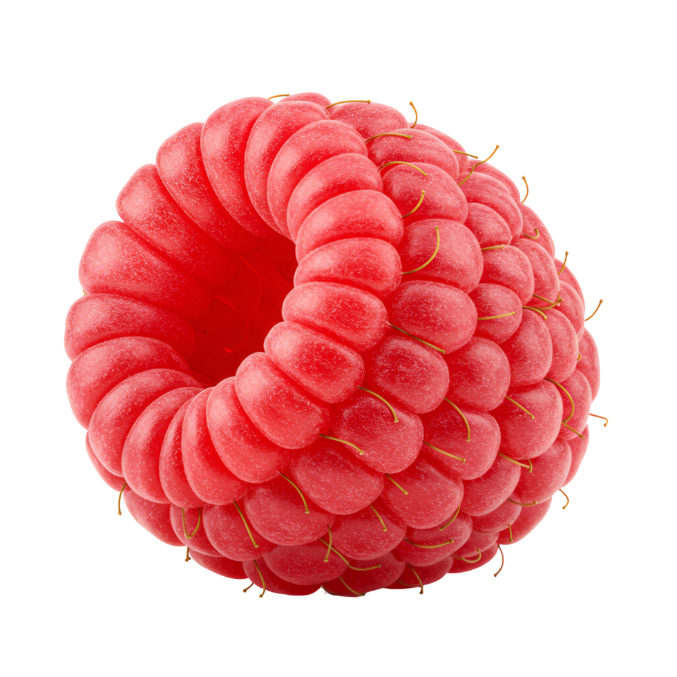 A close up view of a vibrant red raspberry with a hollow center on a transparent surface transparent background png