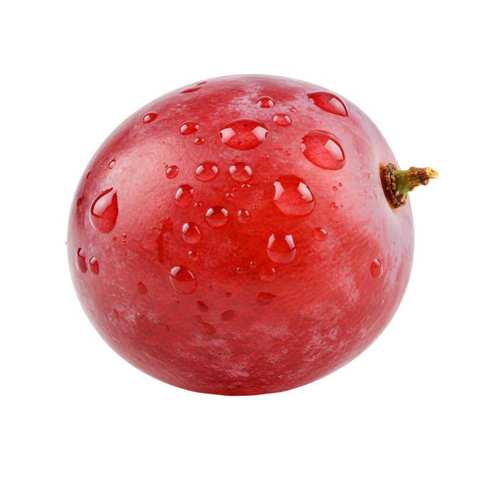 A single red grape with water droplets on its surface against a plain background in a studio shot transparent background png