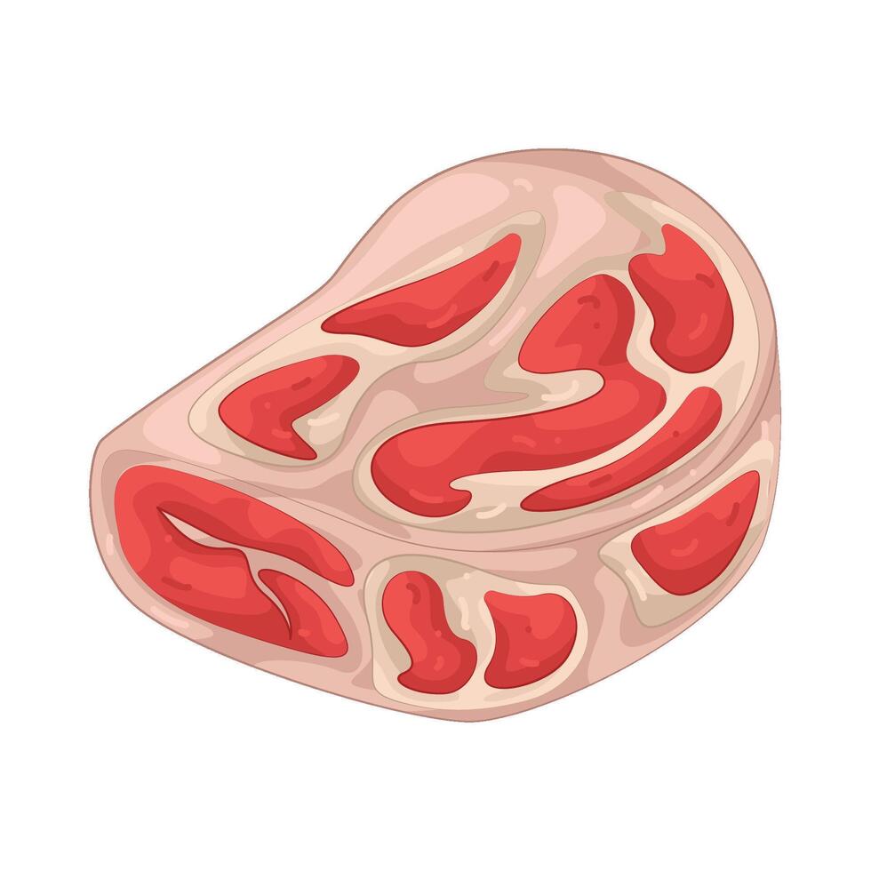 Illustration of meat slice vector