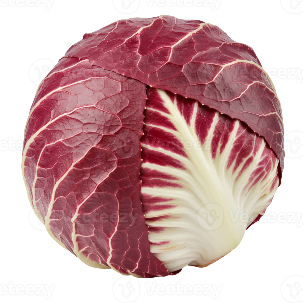 A vibrant radicchio head showcasing its intricate leaf patterns and contrasting color variations in detail transparent background png