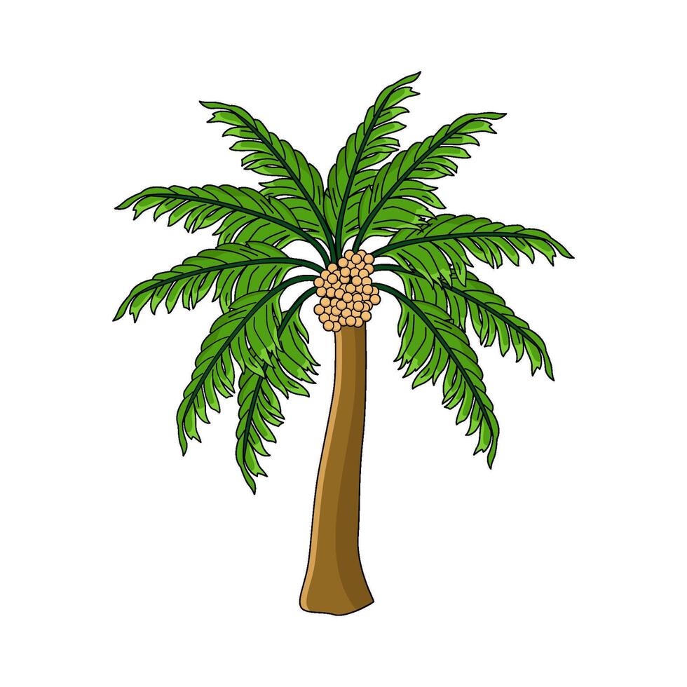 Dates Palm Tree vector