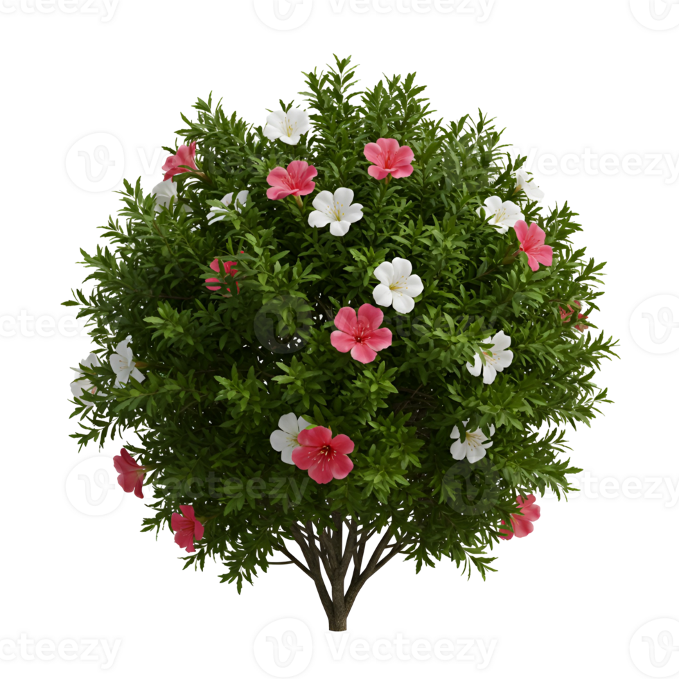 A topiary bush with green leaves and pink and white flowers on a plain isolation presentation view transparent background png