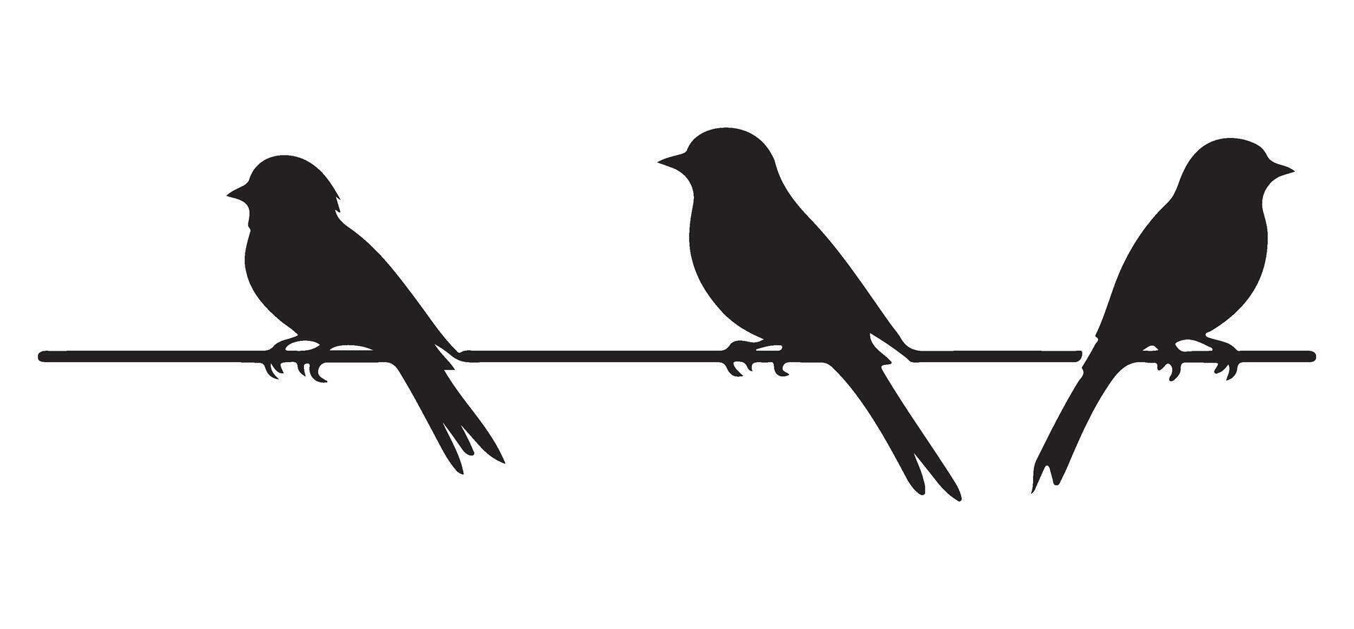 Three birds sitting on a wire line illustration vector