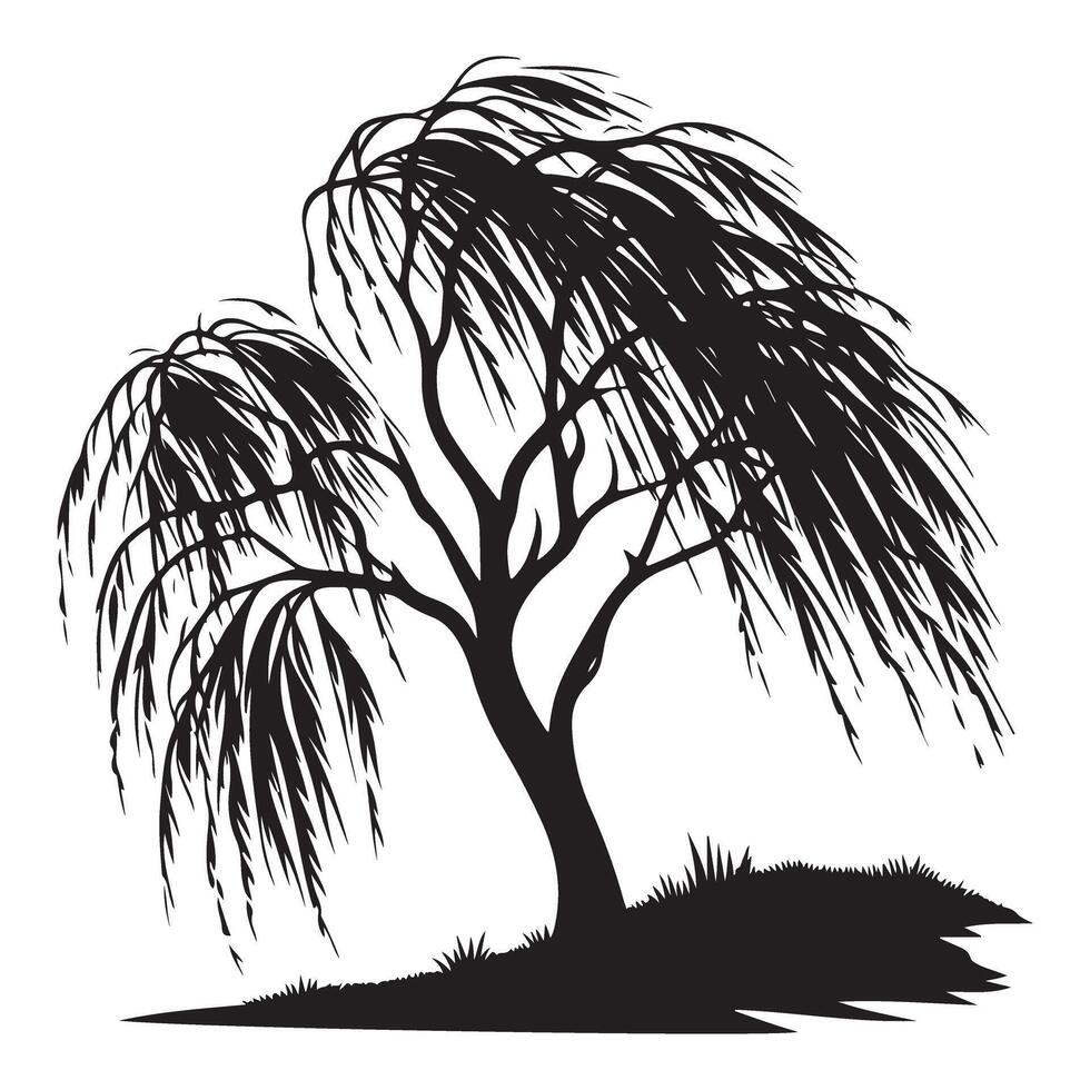 Weeping willow tree silhouette illustration for landscape design vector