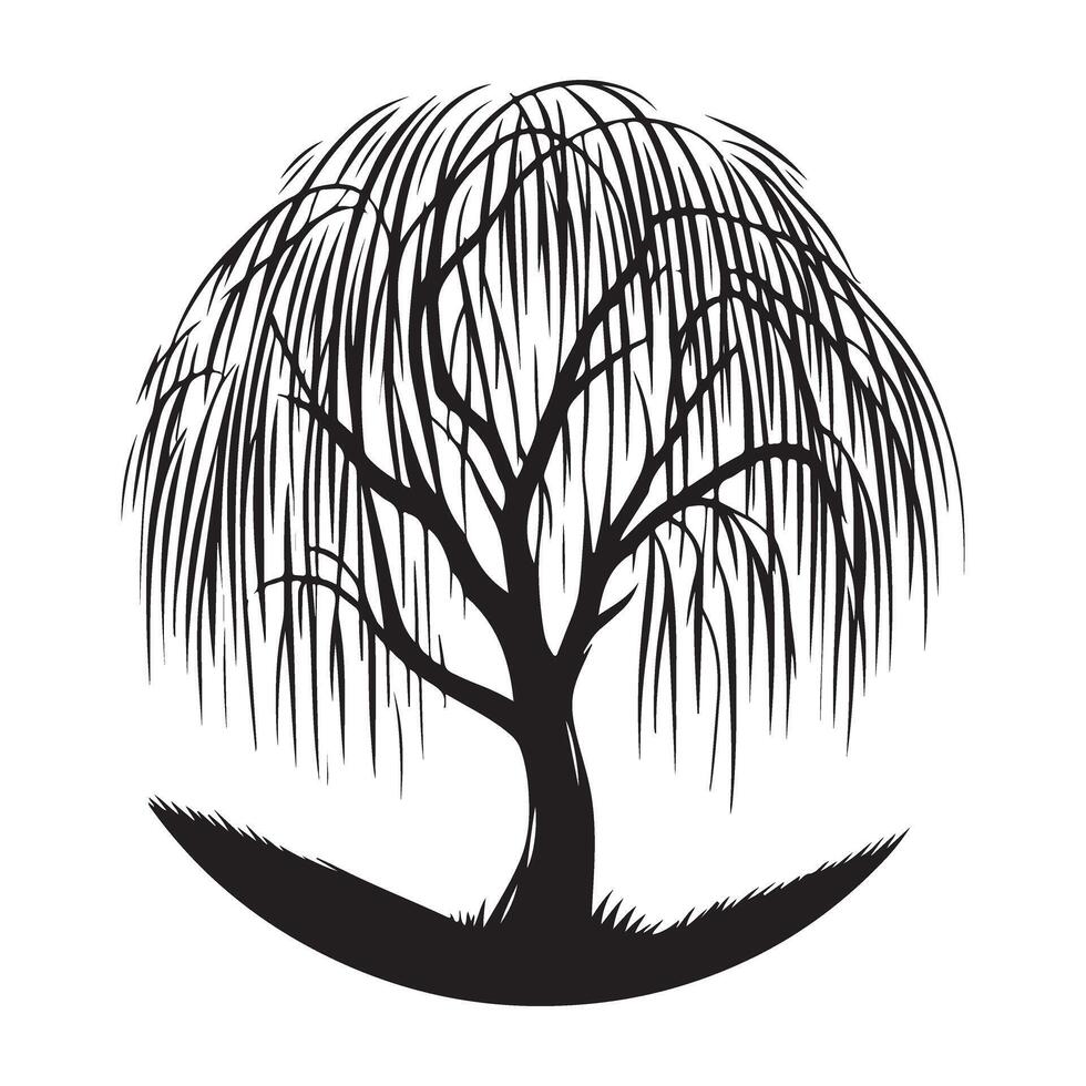 Weeping Willow Tree Silhouette Art Illustration Style vector
