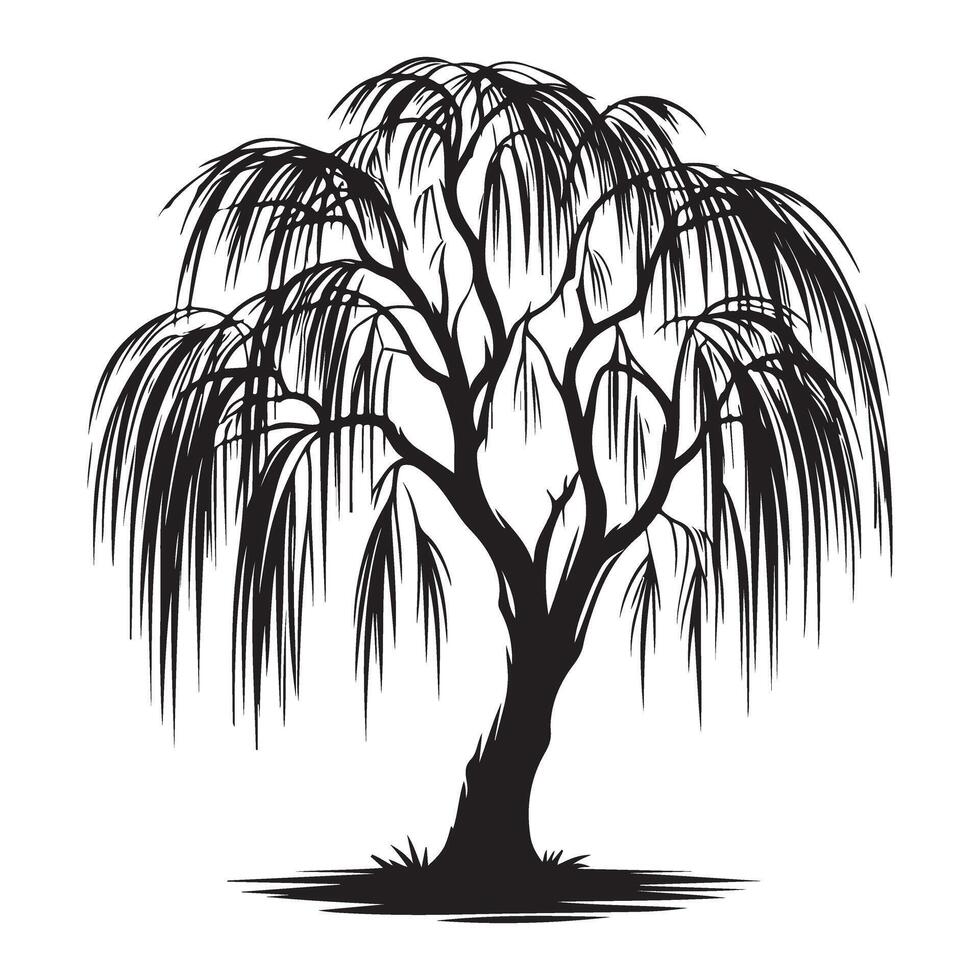 Majestic Willow Tree Silhouette Art Illustration Graphic Design vector