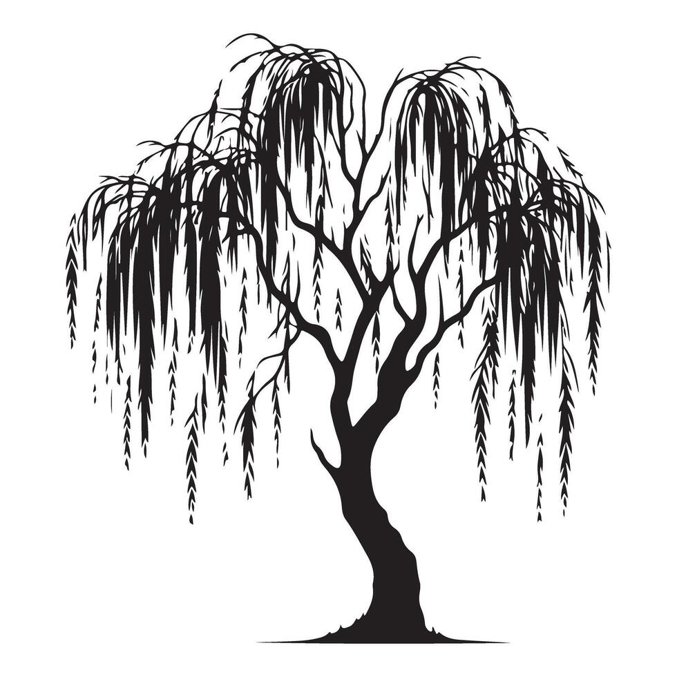Elegant Weeping Willow Tree Silhouette Illustration for Graphics vector