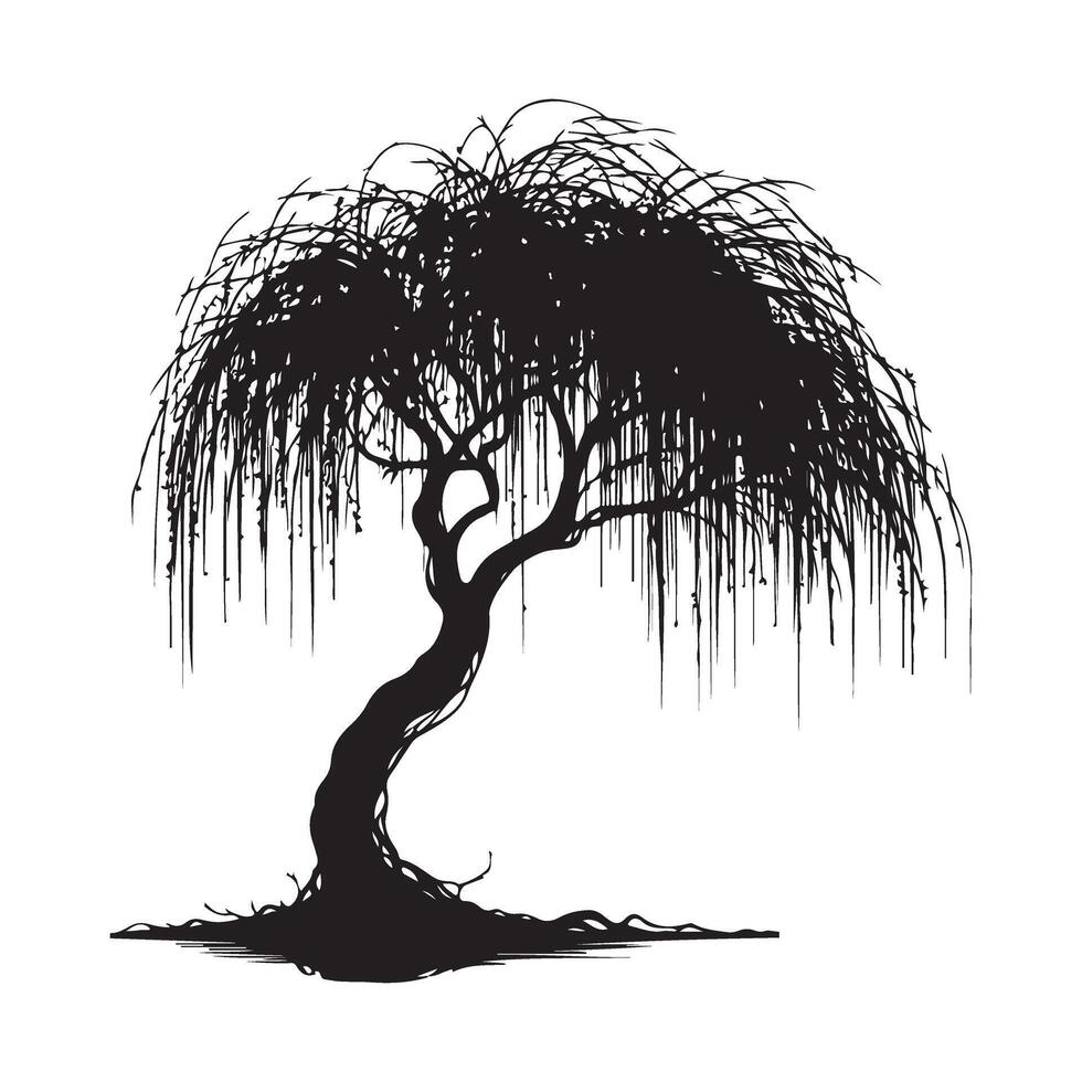 Weeping Willow Tree Silhouette Nature Garden Scenery Illustration vector