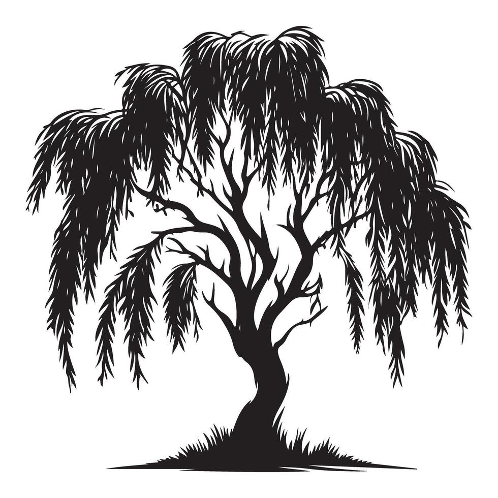 Weeping Willow Silhouette Image Symbolizing Mourning and Nature vector